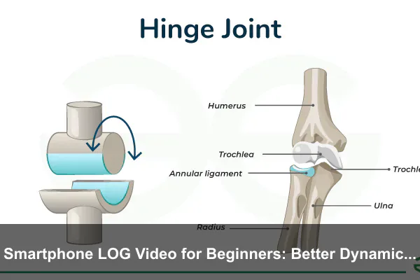 Smartphone LOG Video for Beginners: Better Dynamic Range and Faster Color Grading